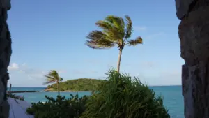 Eine einzelne Palme beugt sich im Wind an einem tropischen Sandstrand am Meer.