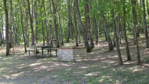 Öffentlicher Grillplatz mit gemauerten Feuerstellen inmitten eines trockenen Waldes in Deutschland.