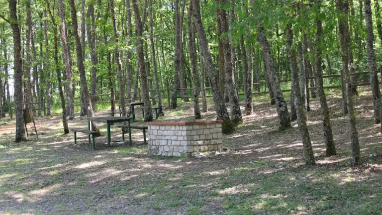 Öffentlicher Grillplatz mit gemauerten Feuerstellen inmitten eines trockenen Waldes in Deutschland.