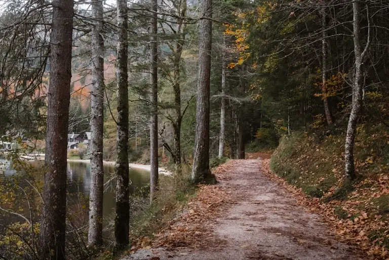 Leipzig: Am Grünen Bogen führt der Weg um den See