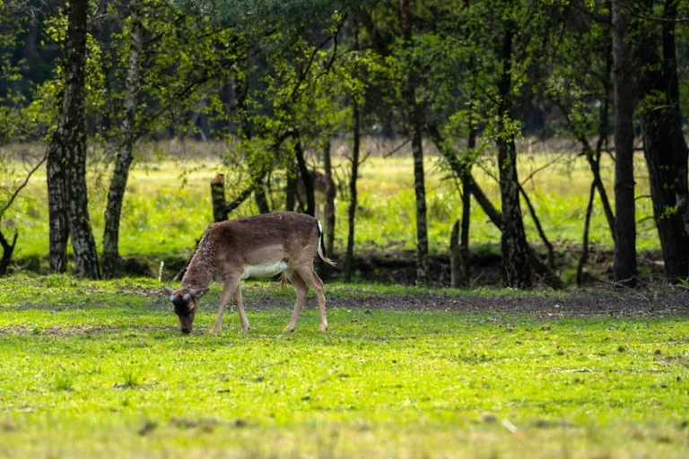 Letztes Ferienwochenende in NRW: Drei Tagesausflüge