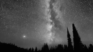 Milchstraße und Perseiden-Meteorschauer über einer dunklen Waldsilhouette bei Nacht.