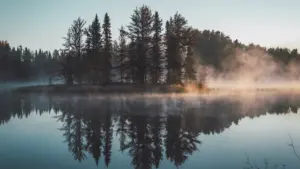 Morgennebel über einem ruhigen See mit Bäumen im weichen Licht.