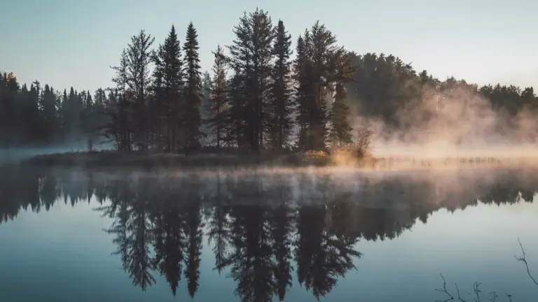 Morgennebel über einem ruhigen See mit Bäumen im weichen Licht.