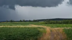 Unwetter und Hitze am 12. August: Warnungen vor der Abfahrt prüfen