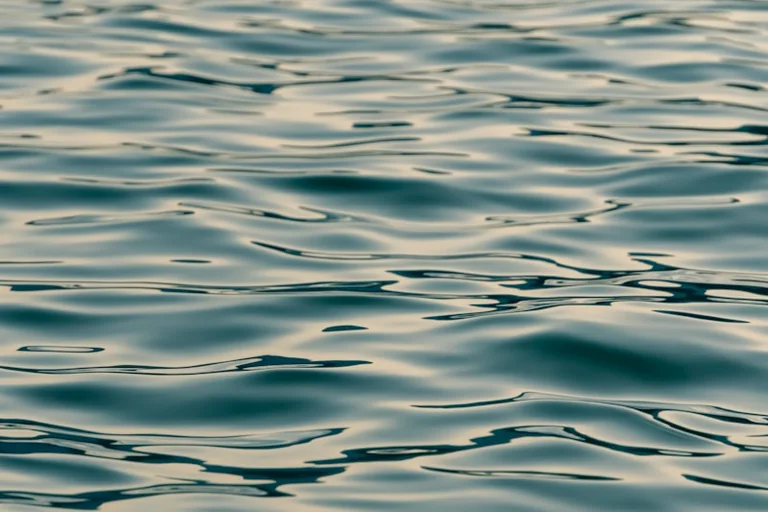 Wasserträume: Was Psyche und Kultur darin spiegeln