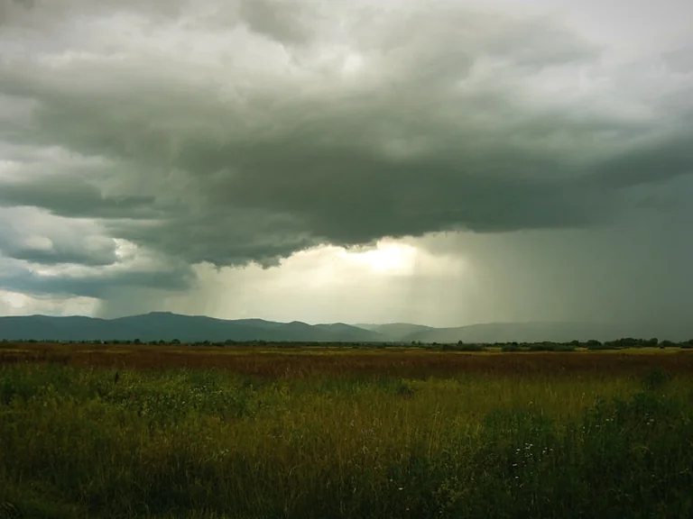 Wetterprognose für das letzte Augustwochenende 2026: Spätsommer oder Regen?