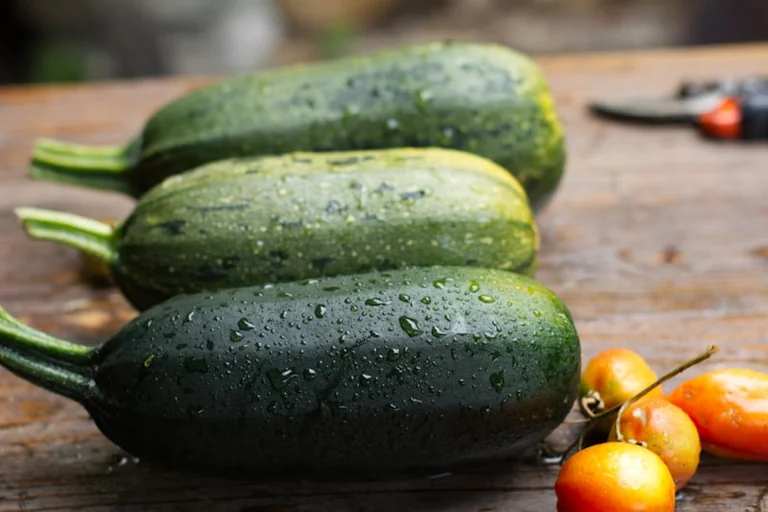 Zucchini-Pfanne mit Kirschtomaten und Feta im August