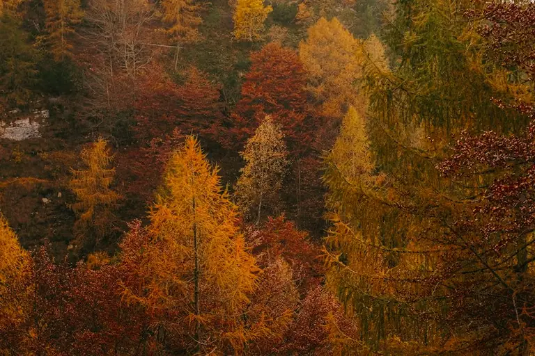 Herbstanfang 2026: Was Sie bei Wetter, Licht und Gesundheit wissen müssen