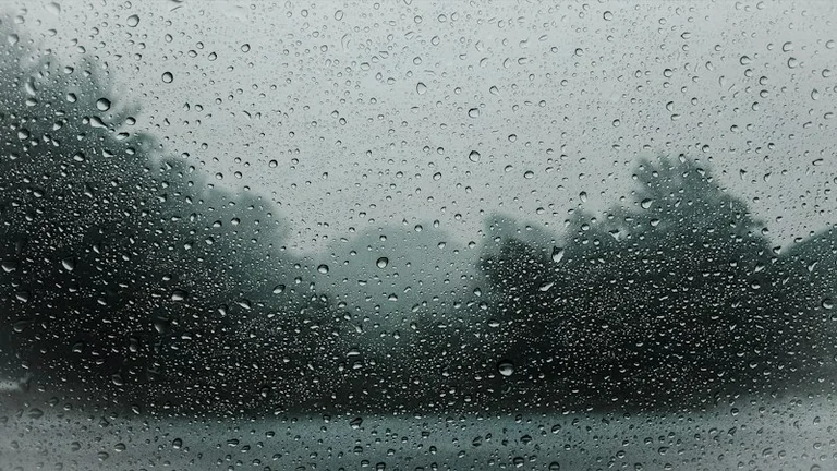 Von Regen träumen: Emotionen, Reinigung und Übergänge reflektieren