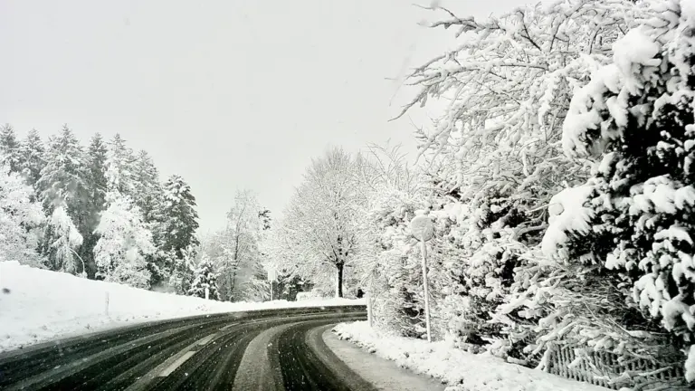 Verschneite Straße mit winterlicher Landschaft, passend zur Debatte über Winterreifen in Deutschland.